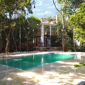 https://saasil-kaax.allrivieramayahotels.com
